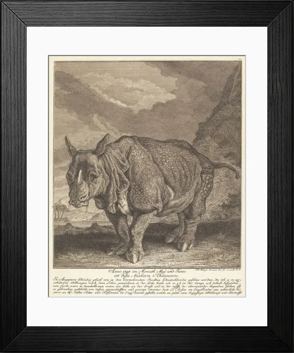 Framed Print : Nashorn Rhinoceros, 1748. Creator: Johann Elias Ridinger Framed Print : Nashorn Rhinoceros, 1748. Creator: Johann Elias Ridinger