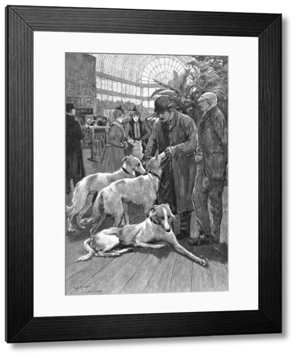 Framed Print : The Crystal Palace Dog Show -- Russian Wolf Hounds awaiting their turn to Enter the Ring, 1890. Creator: Unknown Framed Print : The Crystal Palace Dog Show -- Russian Wolf Hounds awaiting their turn to Enter the Ring, 1890. Creator: Unknown