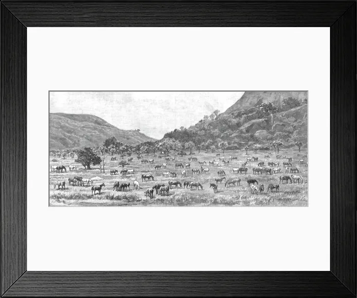 Framed Print : The Pioneer Corps of the British South Africa Co's Forces on their way to Mashonaland; The Camp on Creator: Unknown Framed Print : The Pioneer Corps of the British South Africa Co's Forces on their way to Mashonaland; The Camp on Creator: Unknown