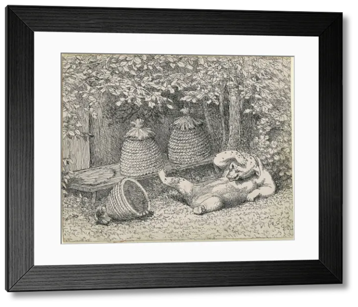 Framed Print : Bear Stung by Bees, 1865-1895. Creator: William Holbrook Beard Framed Print : Bear Stung by Bees, 1865-1895. Creator: William Holbrook Beard