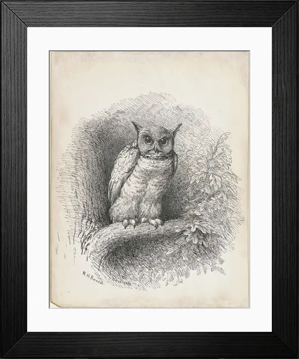 Framed Print : Owl, 1889. Creator: William Holbrook Beard Framed Print : Owl, 1889. Creator: William Holbrook Beard