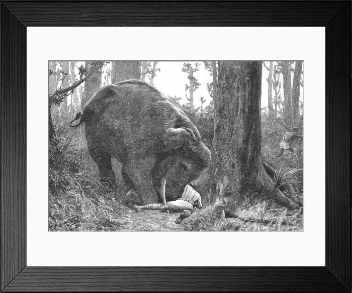 Framed Print : The Dangers of Elephant Shooting -- Captain Peterson's Hunting Accident in the Malay Peninsula, 1 Creator: Unknown Framed Print : The Dangers of Elephant Shooting -- Captain Peterson's Hunting Accident in the Malay Peninsula, 1 Creator: Unknown