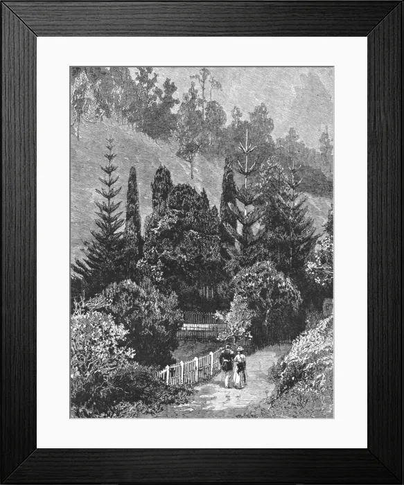 Framed Print : A Visit to the Island of St. Helena; Napoleon's Tomb, 1890. Creator: Unknown Framed Print : A Visit to the Island of St. Helena; Napoleon's Tomb, 1890. Creator: Unknown