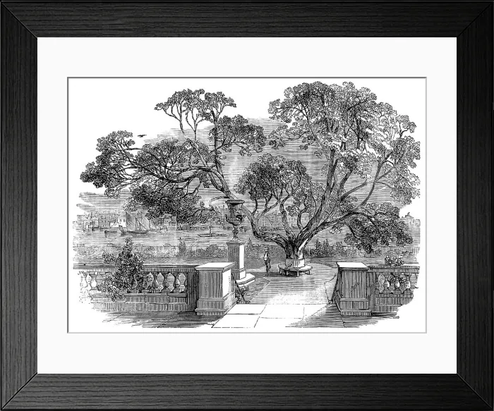 Framed Print : View of the Garden, at Sir Robert Peel's, taken from the Dining-Room, 1850. Creator: Unknown Framed Print : View of the Garden, at Sir Robert Peel's, taken from the Dining-Room, 1850. Creator: Unknown