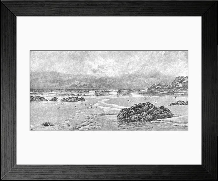 Framed Print : Pictures of the Year - V. Gull Island: A Conversazione, after John Brett, ARA, 1891. Creator: Unknown. Pictures of the Year - V. Gull Island: A Conversazione, after John Brett, ARA, 1891. Creator: Unknown Framed Print : Pictures of the Year - V. Gull Island: A Conversazione, after John Brett, ARA, 1891. Creator: Unknown. Pictures of the Year - V. Gull Island: A Conversazione, after John Brett, ARA, 1891. Creator: Unknown