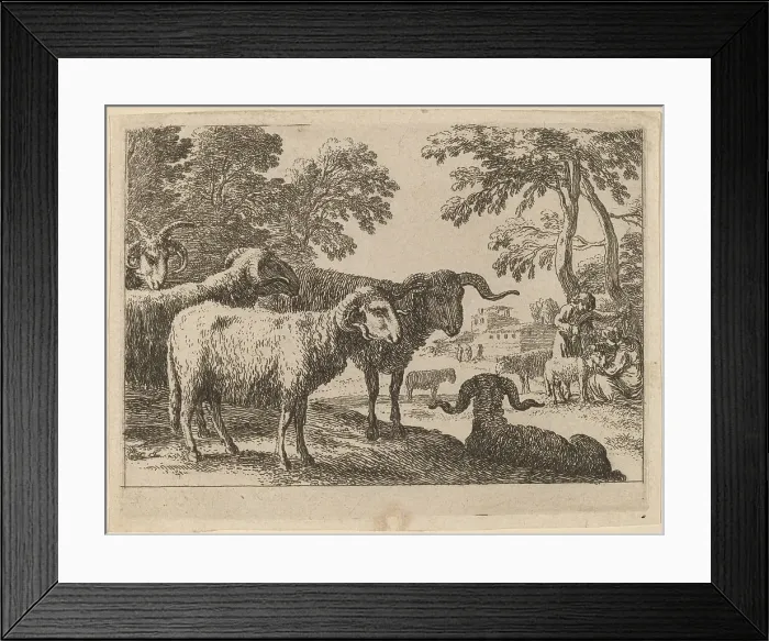 Framed Print : Rams. Creator: Herman van Swanevelt Framed Print : Rams. Creator: Herman van Swanevelt