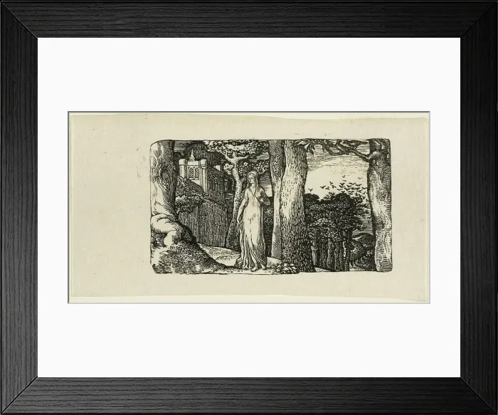 Framed Print : The Lady and the Rooks, n.d. Creator: Edward Calvert Framed Print : The Lady and the Rooks, n.d. Creator: Edward Calvert