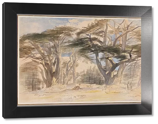 The Cedars of Lebanon, 1858. Creator: Edward Lear