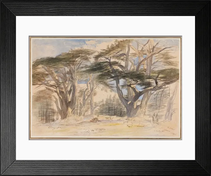 Framed Print : The Cedars of Lebanon, 1858. Creator: Edward Lear Framed Print : The Cedars of Lebanon, 1858. Creator: Edward Lear