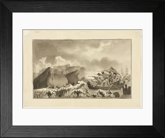 Framed Print : Walrus Hunt, 1801. Creator: Elizabeth Fitzgerald Framed Print : Walrus Hunt, 1801. Creator: Elizabeth Fitzgerald
