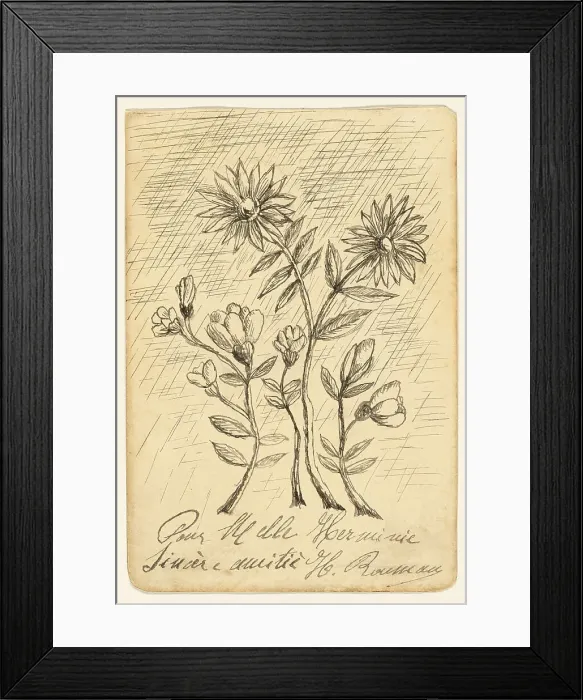 Framed Print : Oak Branch, 1907 / 08. Creator: Henri Rousseau Framed Print : Oak Branch, 1907 / 08. Creator: Henri Rousseau