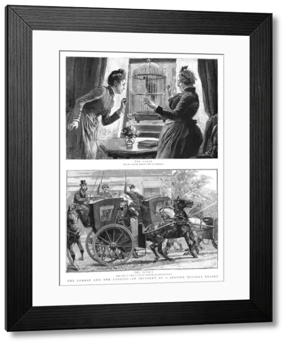 Framed Print : The Parrot and the Cabbies - An Incident at a Seaside Holiday Resort, 1891 Framed Print : The Parrot and the Cabbies - An Incident at a Seaside Holiday Resort, 1891