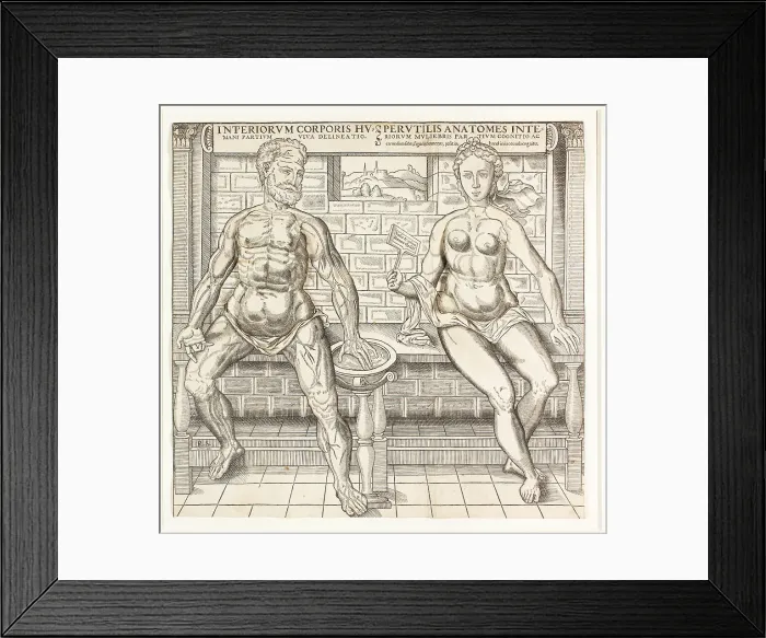 Framed Print : Interiorum corporis humani partium viva delineatio, from the second edition of the... 1555 / 59. Creator: Monogrammist R. S Framed Print : Interiorum corporis humani partium viva delineatio, from the second edition of the... 1555 / 59. Creator: Monogrammist R. S