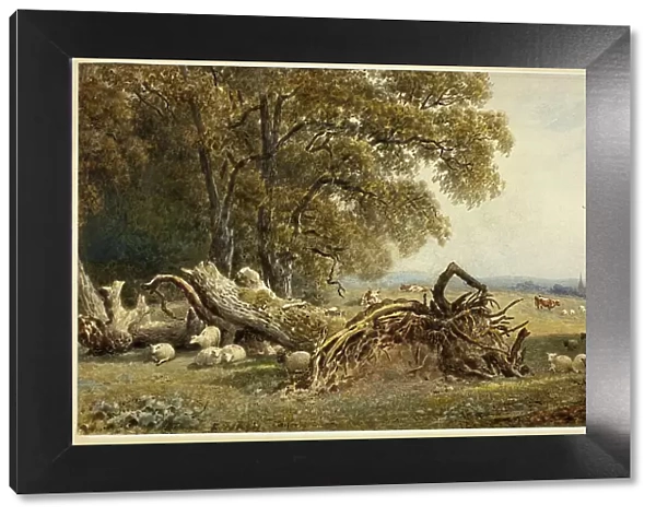 Sheep, Cows, and Herdsman by Uprooted Tree, 1802 / 1856. Creator: Frederick Nash