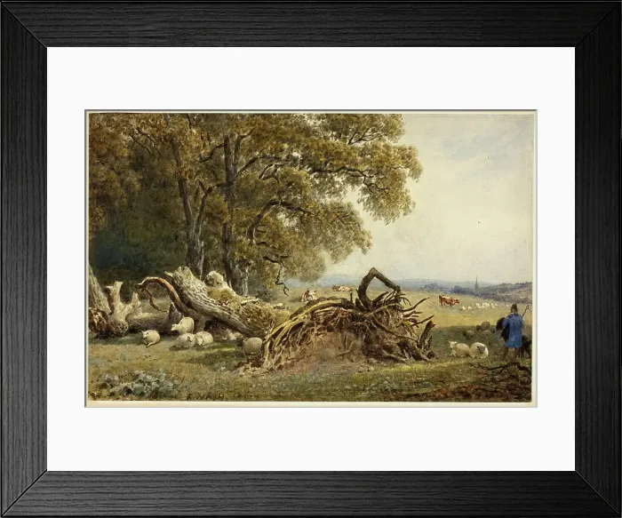 Framed Print : Sheep, Cows, and Herdsman by Uprooted Tree, 1802 / 1856. Creator: Frederick Nash Framed Print : Sheep, Cows, and Herdsman by Uprooted Tree, 1802 / 1856. Creator: Frederick Nash