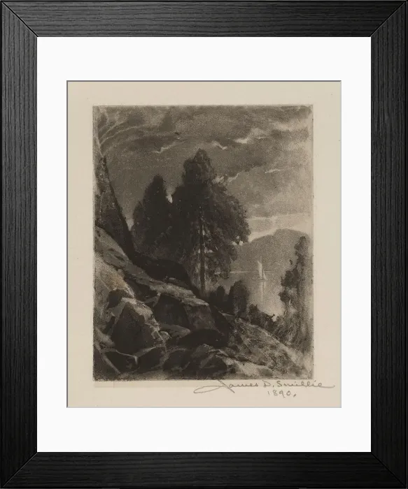 Framed Print : Untitled (Experiment?Wet Aquatint), 1890. Creator: James David Smillie Framed Print : Untitled (Experiment?Wet Aquatint), 1890. Creator: James David Smillie