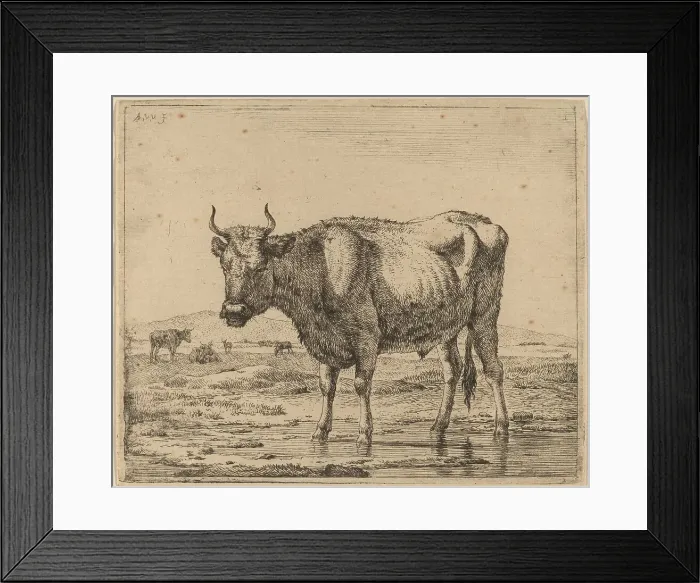 Framed Print : Bull Standing in Water, c. 1657 / 1659. Creator: Adriaen van de Velde Framed Print : Bull Standing in Water, c. 1657 / 1659. Creator: Adriaen van de Velde