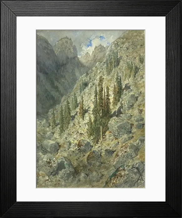 Framed Print : An Alpine Valley with Trees and Boulders, 1876. Creator: Gustave Doré Framed Print : An Alpine Valley with Trees and Boulders, 1876. Creator: Gustave Doré