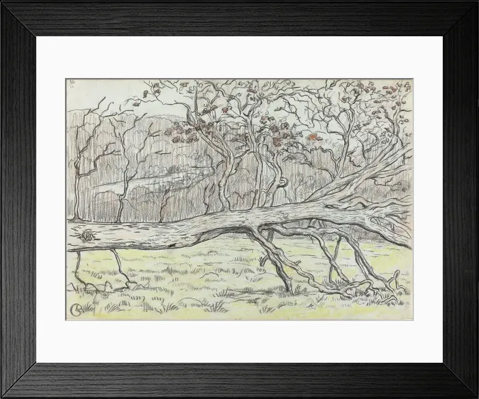 Framed Print : Felled Tree, Normandy, 1898. Creator: Georges Lacombe Framed Print : Felled Tree, Normandy, 1898. Creator: Georges Lacombe