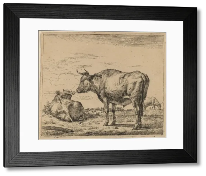 Framed Print : Standing Bull, c. 1657 / 1659. Creator: Adriaen van de Velde