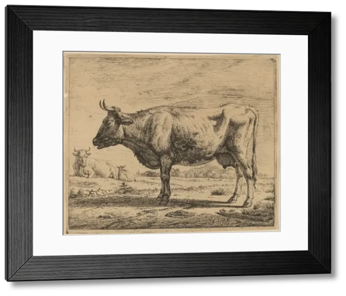 Framed Print : Two Cows and a Sheep, c. 1657 / 1659. Creator: Adriaen van de Velde Framed Print : Two Cows and a Sheep, c. 1657 / 1659. Creator: Adriaen van de Velde