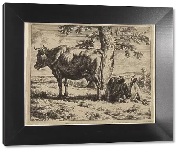 Two Cows under a Tree, c. 1670. Creator: Adriaen van de Velde