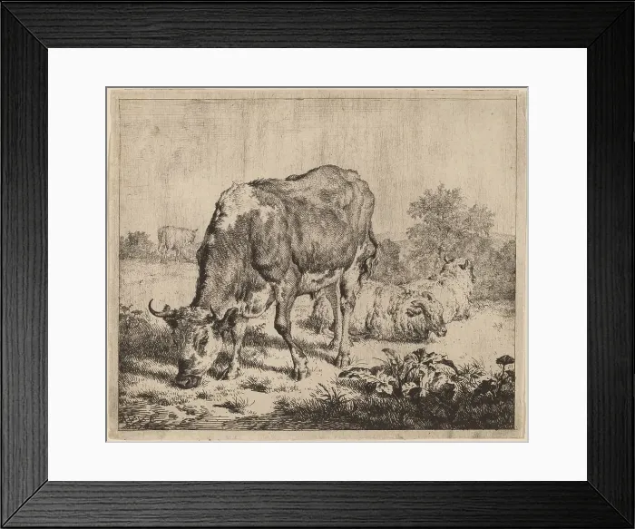 Framed Print : Spotted Bull and Three Sheep, 1670. Creator: Adriaen van de Velde Framed Print : Spotted Bull and Three Sheep, 1670. Creator: Adriaen van de Velde