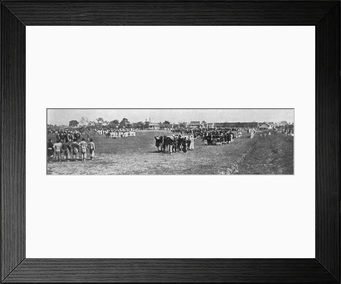 Framed Print : Nos recrues d'asie, d'Afrique et d'oceanie; au Tonkin : le recrutement des Annamites, 1916. Creator: Unknown Framed Print : Nos recrues d'asie, d'Afrique et d'oceanie; au Tonkin : le recrutement des Annamites, 1916. Creator: Unknown