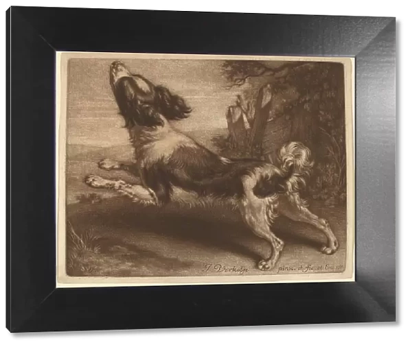 A Spaniel Jumping, 1680. Creator: Jan Verkolje