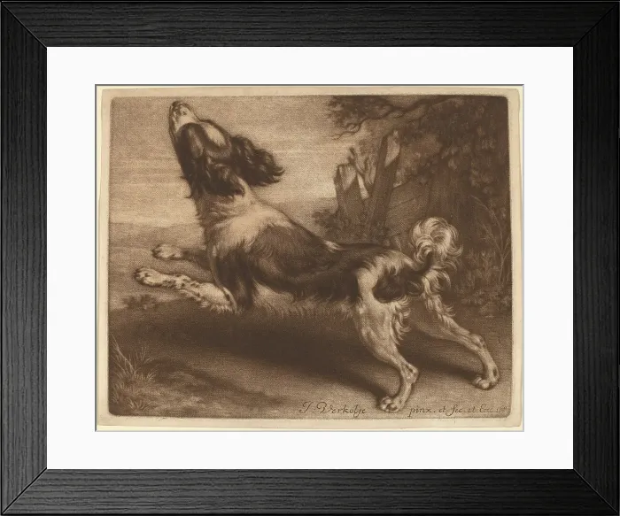 Framed Print : A Spaniel Jumping, 1680. Creator: Jan Verkolje Framed Print : A Spaniel Jumping, 1680. Creator: Jan Verkolje