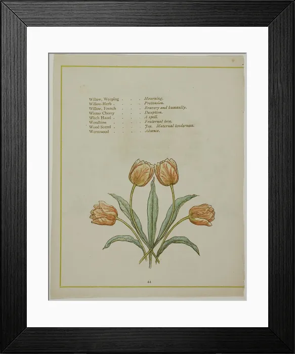 Framed Print : Decorative Illustration, from The Illuminated Language of Flowers, published 1884. Creators: Edmund Evans, Catherine Greenaway Framed Print : Decorative Illustration, from The Illuminated Language of Flowers, published 1884. Creators: Edmund Evans, Catherine Greenaway
