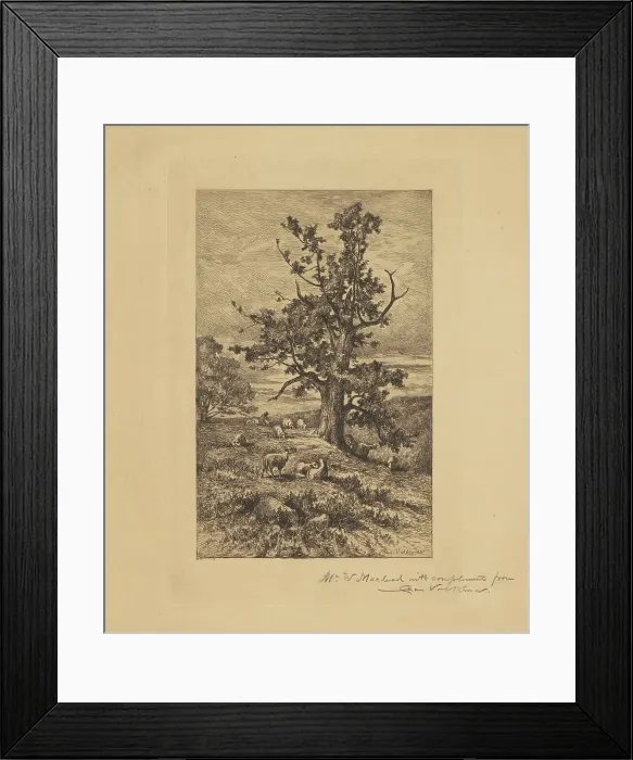 Framed Print : Landscape with Sheep, c. 1876. Creator: Charles Volkmar Framed Print : Landscape with Sheep, c. 1876. Creator: Charles Volkmar