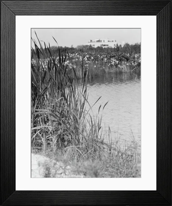 Framed Print : House and grounds of The Shallows, property of Lucien Hamilton Tyng, Southampton, Long Island, 193 Creator: Arnold Genthe. House and grounds of The Shallows, property of Lucien Hamilton Tyng, Southampton, Long Island Framed Print : House and grounds of The Shallows, property of Lucien Hamilton Tyng, Southampton, Long Island, 193 Creator: Arnold Genthe. House and grounds of The Shallows, property of Lucien Hamilton Tyng, Southampton, Long Island