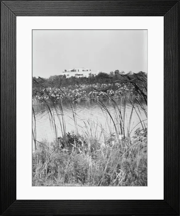 Framed Print : House and grounds of The Shallows, property of Lucien Hamilton Tyng, Southampton, Long Island, 193 Creator: Arnold Genthe. House and grounds of The Shallows, property of Lucien Hamilton Tyng, Southampton, Long Island Framed Print : House and grounds of The Shallows, property of Lucien Hamilton Tyng, Southampton, Long Island, 193 Creator: Arnold Genthe. House and grounds of The Shallows, property of Lucien Hamilton Tyng, Southampton, Long Island