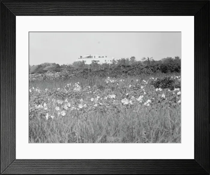 Framed Print : House and grounds of The Shallows, property of Lucien Hamilton Tyng, Southampton, Long Island, 193 Creator: Arnold Genthe. House and grounds of The Shallows, property of Lucien Hamilton Tyng, Southampton, Long Island Framed Print : House and grounds of The Shallows, property of Lucien Hamilton Tyng, Southampton, Long Island, 193 Creator: Arnold Genthe. House and grounds of The Shallows, property of Lucien Hamilton Tyng, Southampton, Long Island