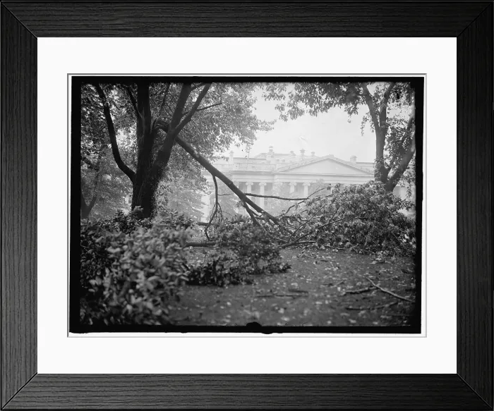 Framed Print : Storm Damage, between 1913 and 1918. Creator: Harris & Ewing. Storm Damage, between 1913 and 1918. Creator: Harris & Ewing Framed Print : Storm Damage, between 1913 and 1918. Creator: Harris & Ewing. Storm Damage, between 1913 and 1918. Creator: Harris & Ewing