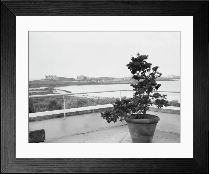 Framed Print : House and grounds of The Shallows, property of Lucien Hamilton Tyng, Southampton, Long Island, 193 Creator: Arnold Genthe. House and grounds of The Shallows, property of Lucien Hamilton Tyng, Southampton, Long Island