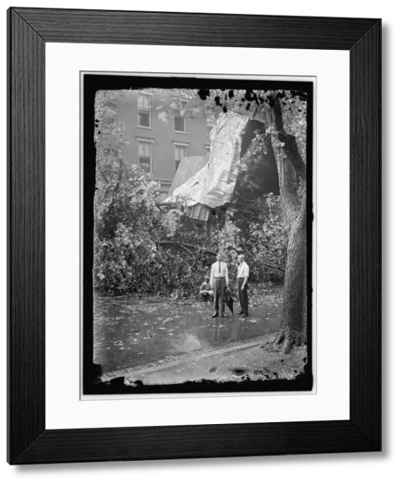 Framed Print : Storm damage, between 1913 and 1918. Creator: Harris & Ewing. Storm damage, between 1913 and 1918. Creator: Harris & Ewing Framed Print : Storm damage, between 1913 and 1918. Creator: Harris & Ewing. Storm damage, between 1913 and 1918. Creator: Harris & Ewing