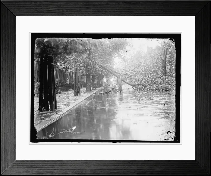 Framed Print : Storm damage, between 1913 and 1918. Creator: Harris & Ewing. Storm damage, between 1913 and 1918. Creator: Harris & Ewing Framed Print : Storm damage, between 1913 and 1918. Creator: Harris & Ewing. Storm damage, between 1913 and 1918. Creator: Harris & Ewing