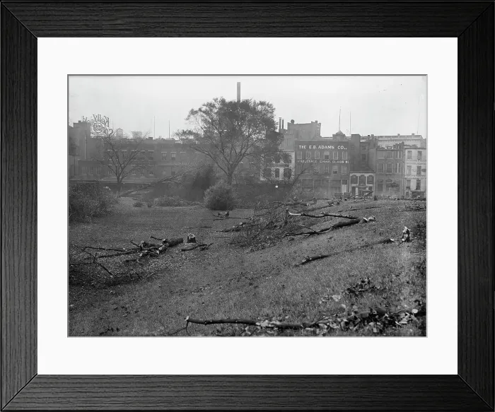 Framed Print : District of Columbia Parks - Cutting Trees On Mall Sites For War Buildings, 1917. Creator: Harris & Ewing. District of Columbia Parks - Cutting Trees On Mall Sites For War Buildings, 1917. Creator: Harris & Ewing Framed Print : District of Columbia Parks - Cutting Trees On Mall Sites For War Buildings, 1917. Creator: Harris & Ewing. District of Columbia Parks - Cutting Trees On Mall Sites For War Buildings, 1917. Creator: Harris & Ewing