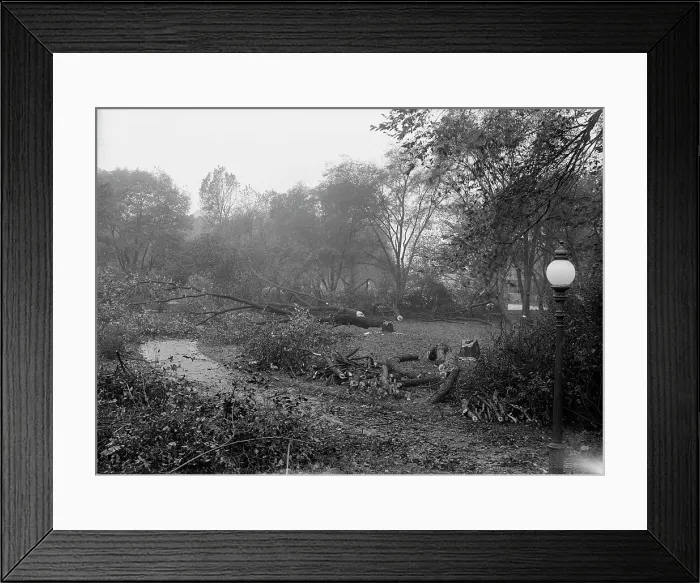 Framed Print : District of Columbia Parks - Cutting Trees On Mall Sites For War Buildings, 1917. Creator: Harris & Ewing. District of Columbia Parks - Cutting Trees On Mall Sites For War Buildings, 1917. Creator: Harris & Ewing Framed Print : District of Columbia Parks - Cutting Trees On Mall Sites For War Buildings, 1917. Creator: Harris & Ewing. District of Columbia Parks - Cutting Trees On Mall Sites For War Buildings, 1917. Creator: Harris & Ewing