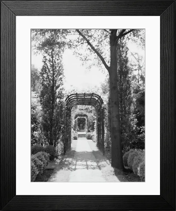 Framed Print : Edge, Charles N. garden, 1933 June 18. Creator: Arnold Genthe Framed Print : Edge, Charles N. garden, 1933 June 18. Creator: Arnold Genthe