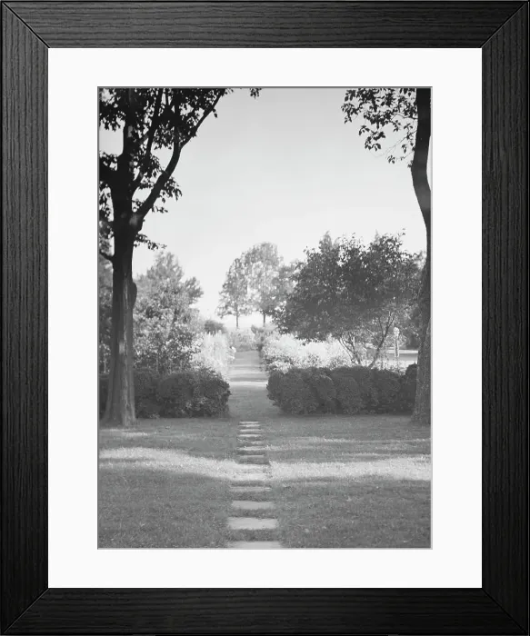 Framed Print : Griffin or Nissen Garden view, 1931 June 14. Creator: Arnold Genthe Framed Print : Griffin or Nissen Garden view, 1931 June 14. Creator: Arnold Genthe
