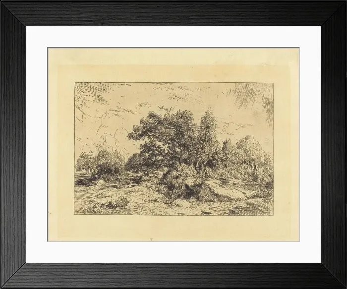 Framed Print : Vue du Plateau de Bellecroix, 1848-1849. Creator: Theodore Rousseau Framed Print : Vue du Plateau de Bellecroix, 1848-1849. Creator: Theodore Rousseau