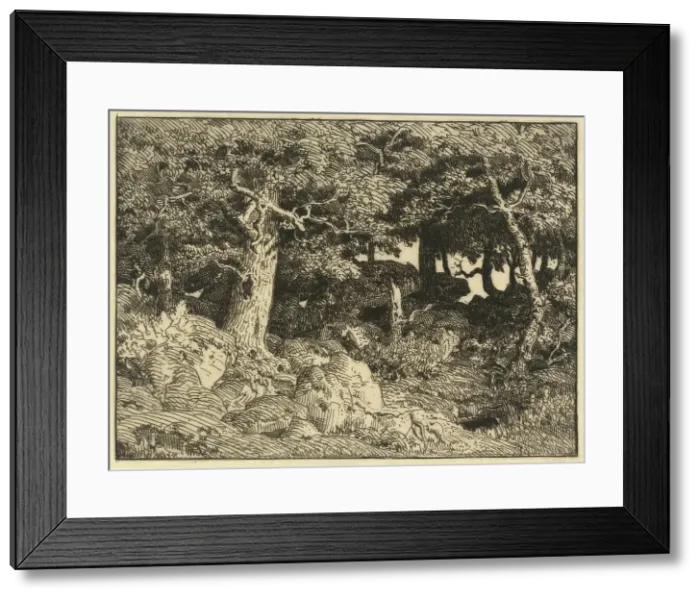 Framed Print : Chenes de Roche (Rock Oaks), 1861. Creator: Theodore Rousseau Framed Print : Chenes de Roche (Rock Oaks), 1861. Creator: Theodore Rousseau