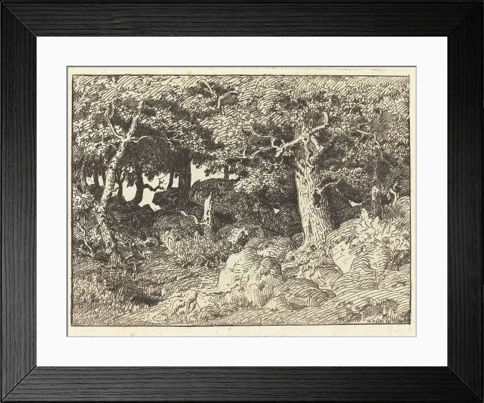 Framed Print : Rock Oaks, 1861. Creator: Theodore Rousseau Framed Print : Rock Oaks, 1861. Creator: Theodore Rousseau
