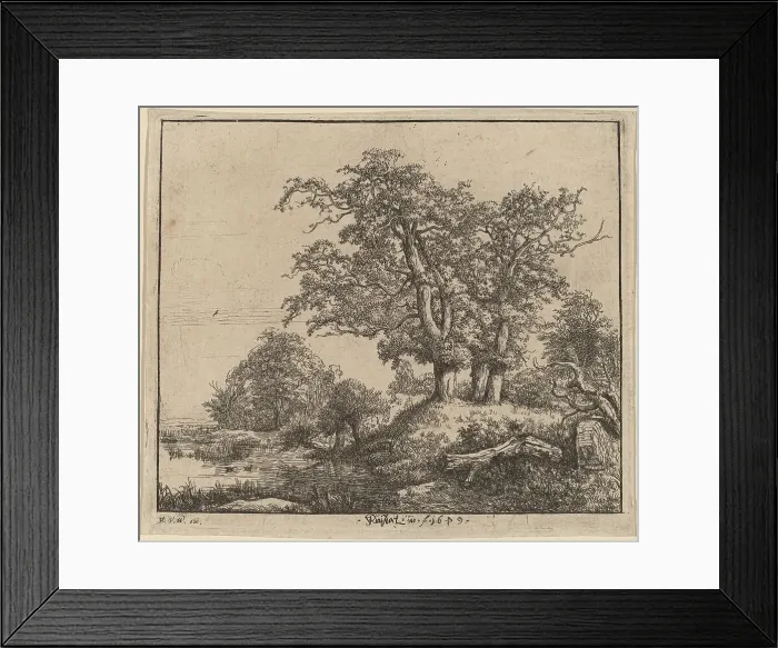 Framed Print : The Three Oaks, 1649. Creator: Jacob van Ruisdael Framed Print : The Three Oaks, 1649. Creator: Jacob van Ruisdael