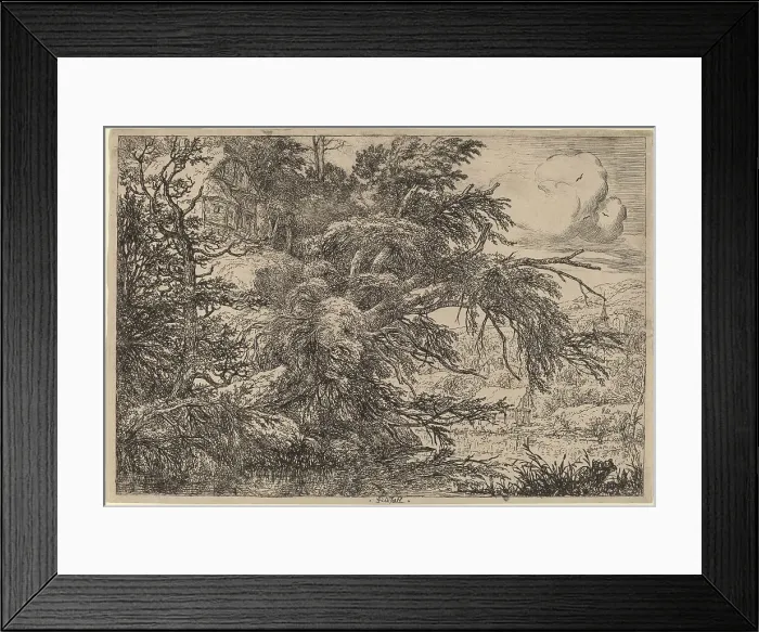 Framed Print : Cottage on a Hill. Creator: Jacob van Ruisdael Framed Print : Cottage on a Hill. Creator: Jacob van Ruisdael