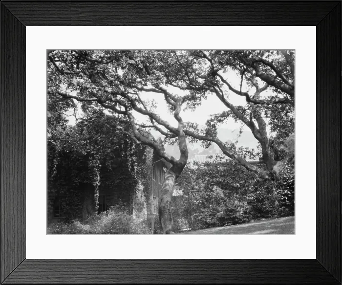 Framed Print : San Francisco views, 1927 Creator: Arnold Genthe Framed Print : San Francisco views, 1927 Creator: Arnold Genthe