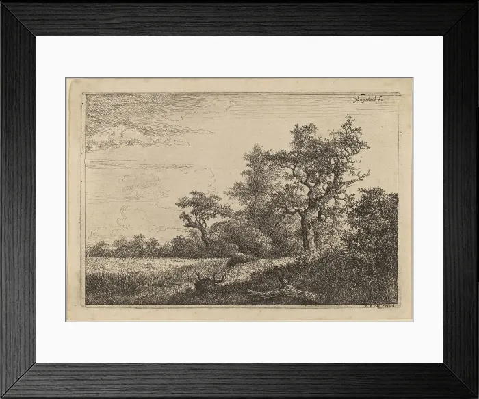 Framed Print : Grain Field at the Edge of a Wood (Corn Field). Creator: Jacob van Ruisdael Framed Print : Grain Field at the Edge of a Wood (Corn Field). Creator: Jacob van Ruisdael